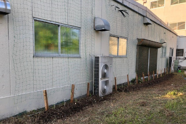 グリーンカーテン京都2022−6月