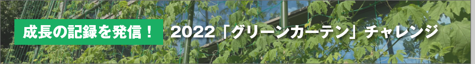 グリーンカーテンチャレンジ