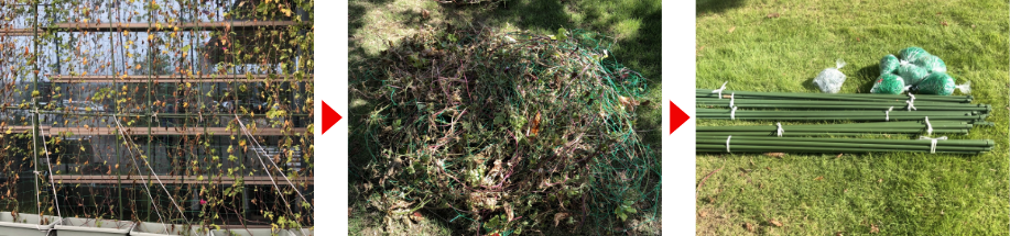 撤去画像1（本社10月3日）