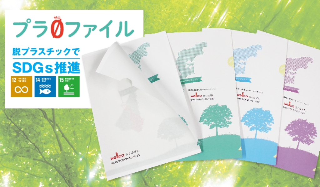 プラゼロファイル紹介1