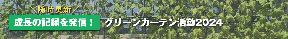 グリーンカーテン活度2024