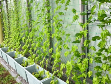 ダイレクトマーケティング工場カーテン2023年比較