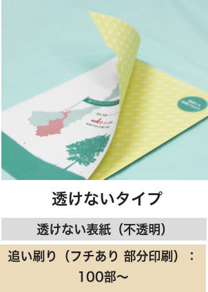 透けないタイプ