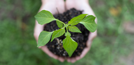 環境配慮・SDGsへの取り組み