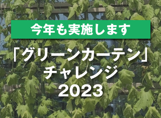 2023年のグリーンカーテンチャレンジが始まりました