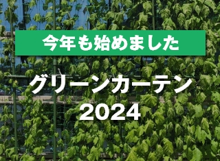 今年もスタートグリーンカーテン活動2024