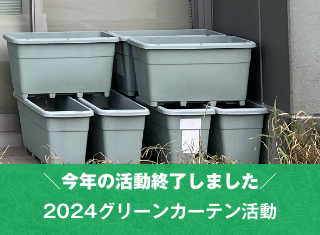 【グリーンカーテン記録】今季の活動を終了しました