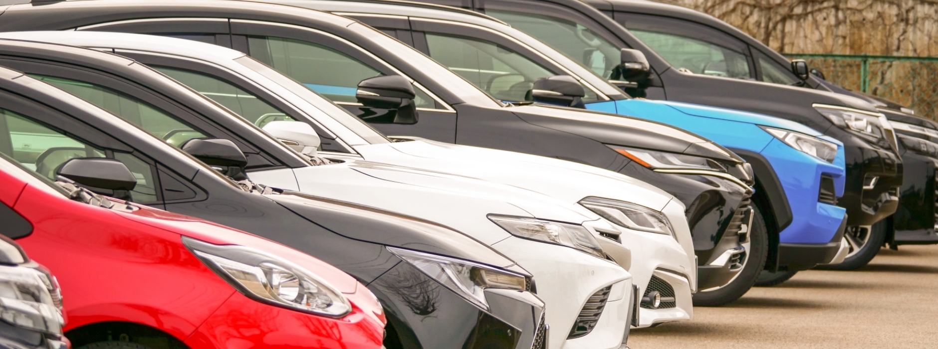 企画立案から相談できる