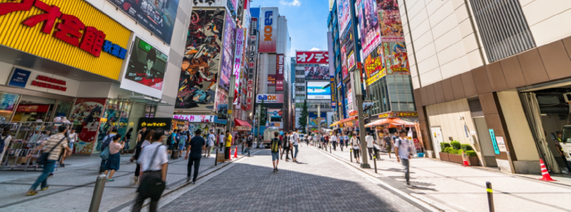 企画立案から相談できる